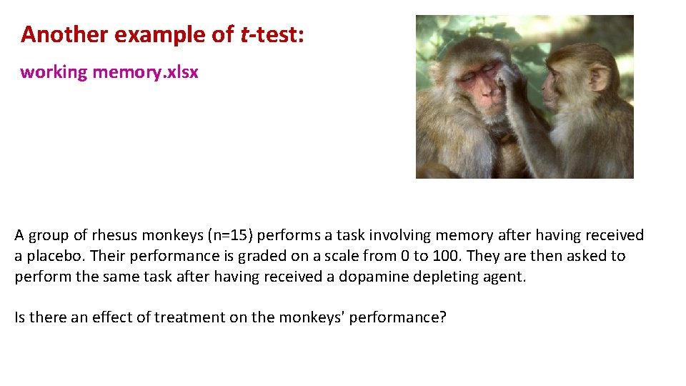 Another example of t-test: working memory. xlsx A group of rhesus monkeys (n=15) performs