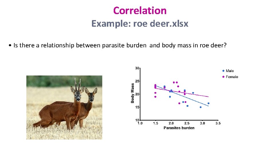 Correlation Example: roe deer. xlsx • Is there a relationship between parasite burden and