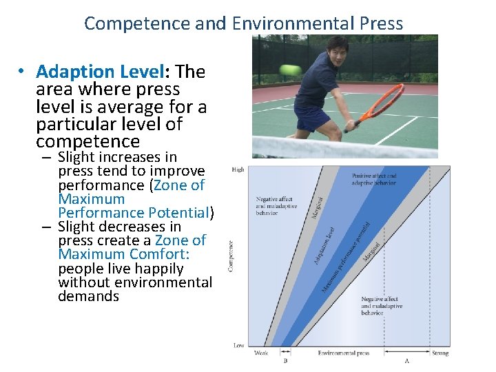Competence and Environmental Press • Adaption Level: The area where press level is average
