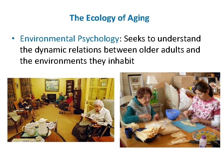 The Ecology of Aging • Environmental Psychology: Seeks to understand the dynamic relations between