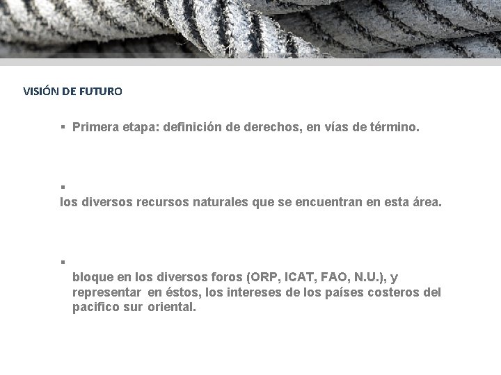 VISIÓN DE FUTURO § Primera etapa: definición de derechos, en vías de término. § VISIÓN DE FUTURO § Primera etapa: definición de derechos, en vías de término. §