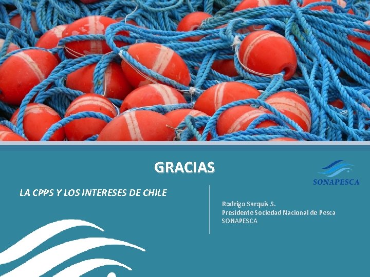 GRACIAS LA CPPS Y LOS INTERESES DE CHILE Rodrigo Sarquis S. Presidente Sociedad Nacional GRACIAS LA CPPS Y LOS INTERESES DE CHILE Rodrigo Sarquis S. Presidente Sociedad Nacional