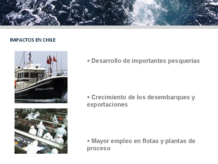 IMPACTOS EN CHILE § Desarrollo de importantes pesquerías § Crecimiento de los desembarques y IMPACTOS EN CHILE § Desarrollo de importantes pesquerías § Crecimiento de los desembarques y