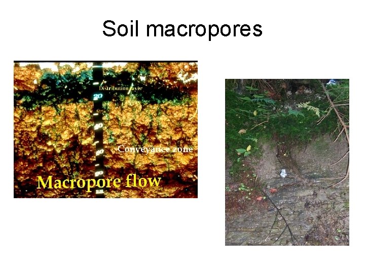 Soil macropores 