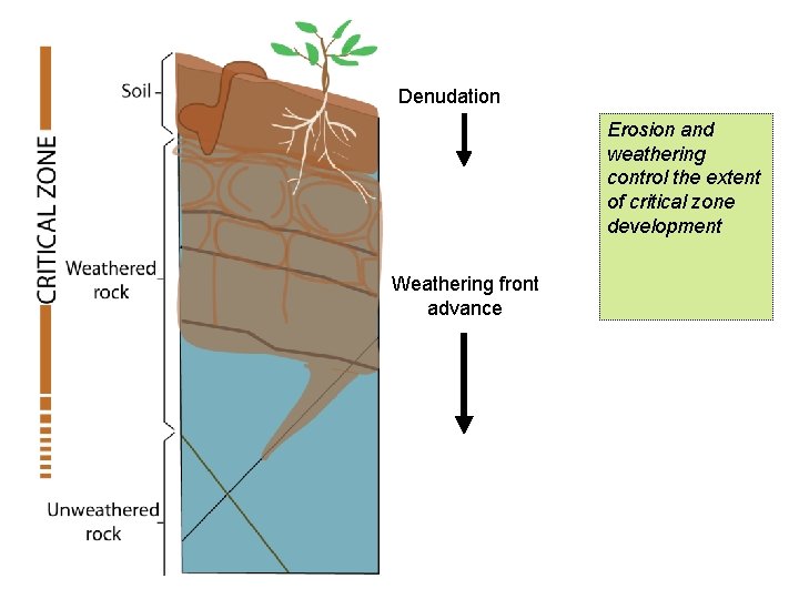 Denudation Erosion and weathering control the extent of critical zone development Weathering front advance