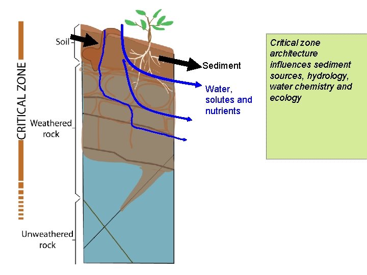 Sediment Water, solutes and nutrients Critical zone architecture influences sediment sources, hydrology, water chemistry