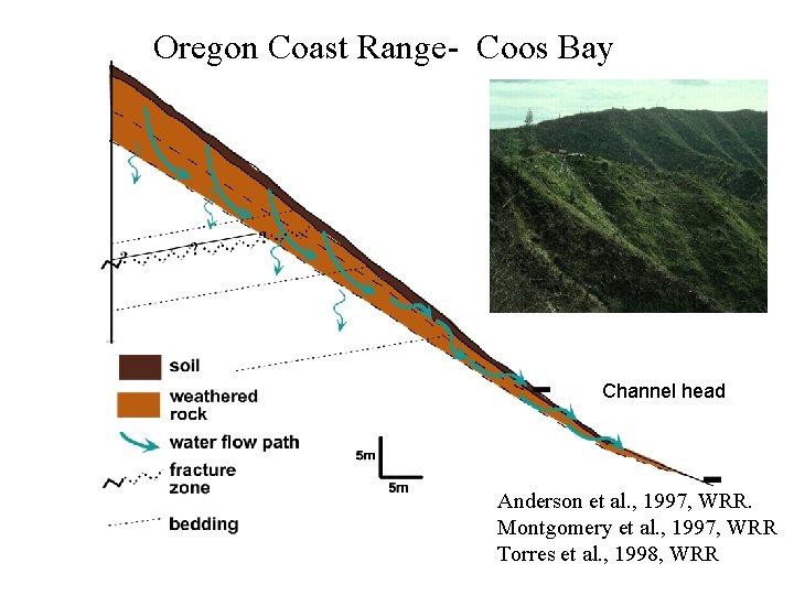 Oregon Coast Range- Coos Bay Channel head Anderson et al. , 1997, WRR. Montgomery