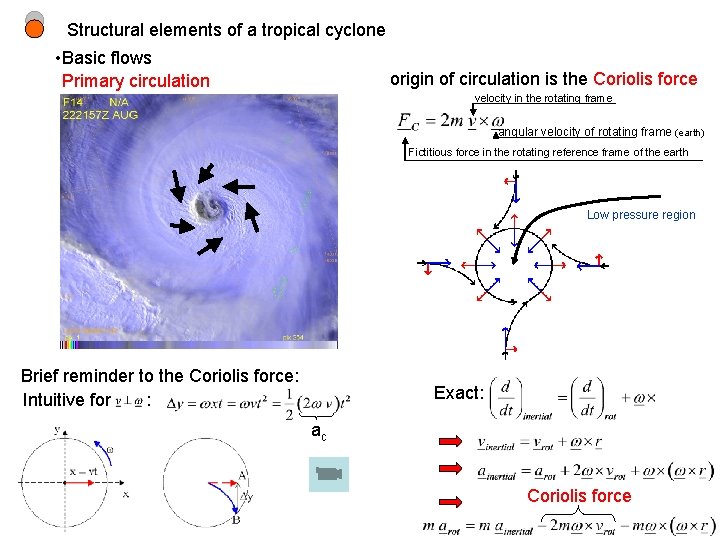 Structural elements of a tropical cyclone • Basic flows Primary circulation origin of circulation