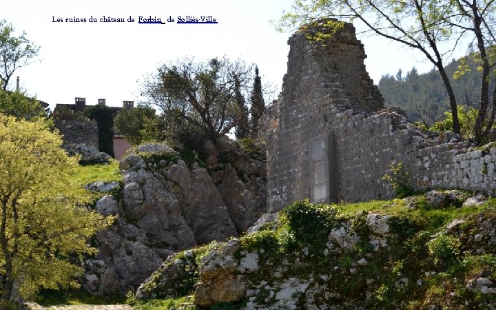 Les ruines du château de Forbin de Solliès-Ville 