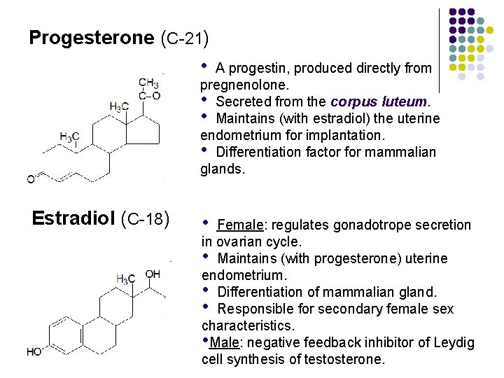 Progesterone (C-21) • A progestin, produced directly from pregnenolone. • Secreted from the corpus