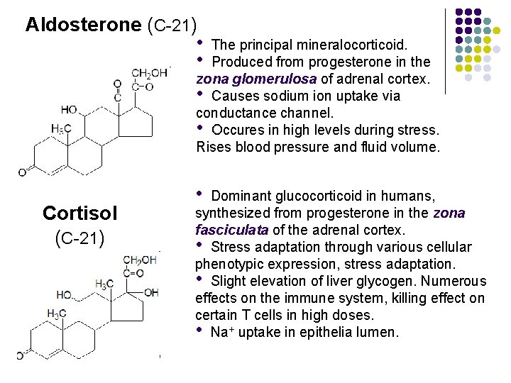 Aldosterone (C-21) • • The principal mineralocorticoid. Produced from progesterone in the zona glomerulosa