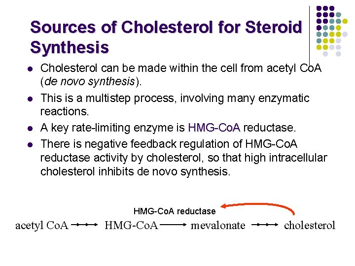 Sources of Cholesterol for Steroid Synthesis l l Cholesterol can be made within the