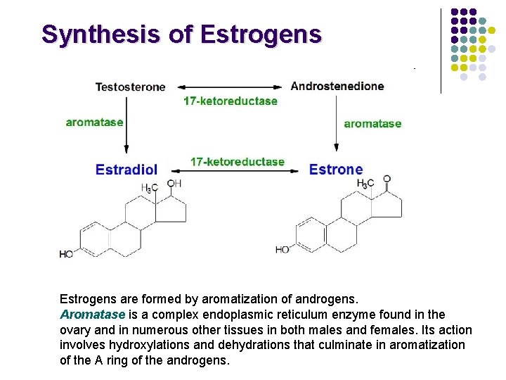 Synthesis of Estrogens are formed by aromatization of androgens. Aromatase is a complex endoplasmic