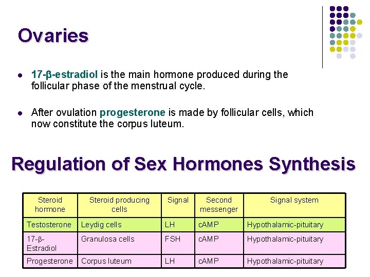 Ovaries l 17 - -estradiol is the main hormone produced during the follicular phase