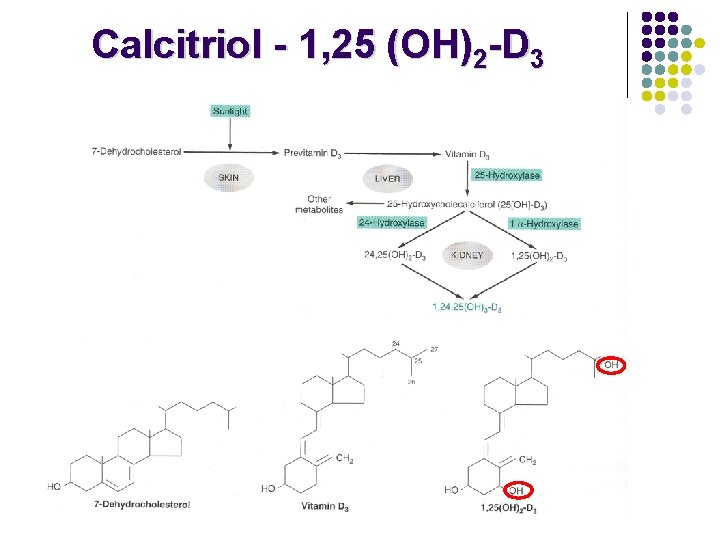 Calcitriol - 1, 25 (OH)2 -D 3 