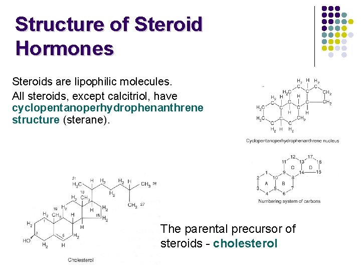 Structure of Steroid Hormones Steroids are lipophilic molecules. All steroids, except calcitriol, have cyclopentanoperhydrophenanthrene