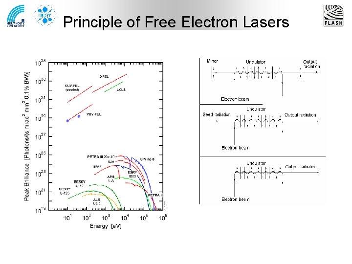 Principle of Free Electron Lasers 