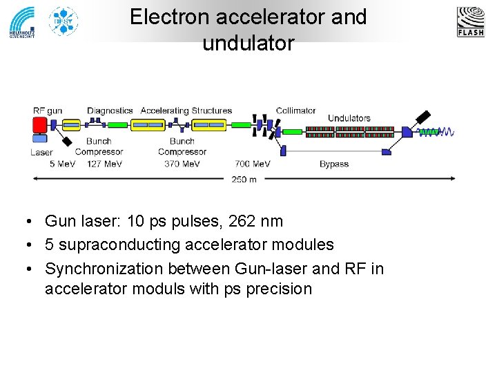 Electron accelerator and undulator • Gun laser: 10 ps pulses, 262 nm • 5