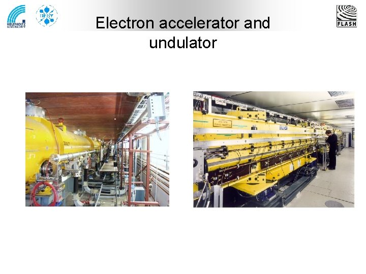 Electron accelerator and undulator 