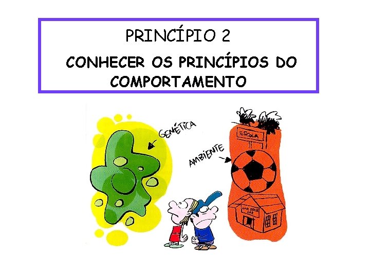 PRINCÍPIO 2 CONHECER OS PRINCÍPIOS DO COMPORTAMENTO 