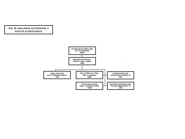 DIR. DE VIGILANCIA NUTRICIONAL Y APOYOS ALIMENTARIOS CARDENAS ZAVALA VICTOR HUGO DIR. DE ALIMENTARIOS