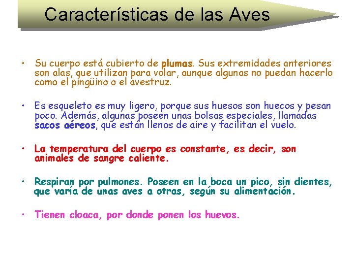 Características de las Aves • Su cuerpo está cubierto de plumas. Sus extremidades anteriores