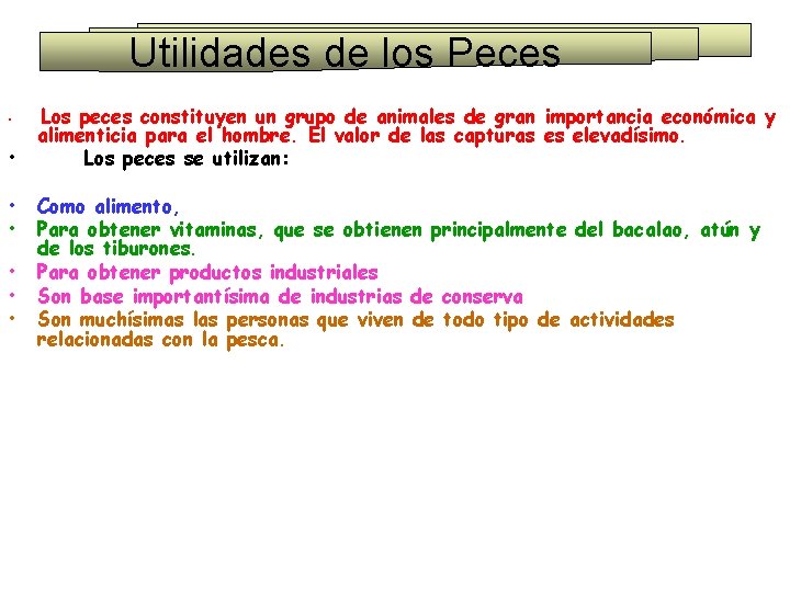 Utilidades de los Peces • Los peces constituyen un grupo de animales de gran