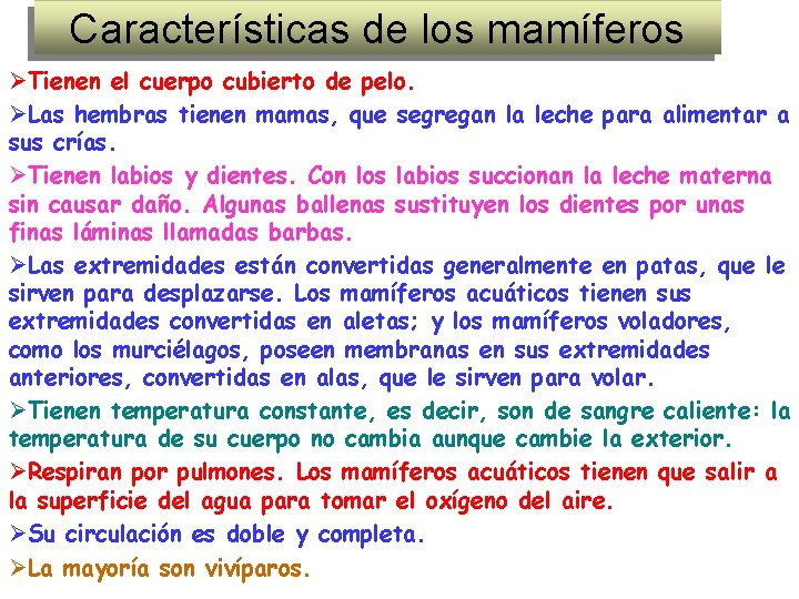 Características de los mamíferos ØTienen el cuerpo cubierto de pelo. ØLas hembras tienen mamas,