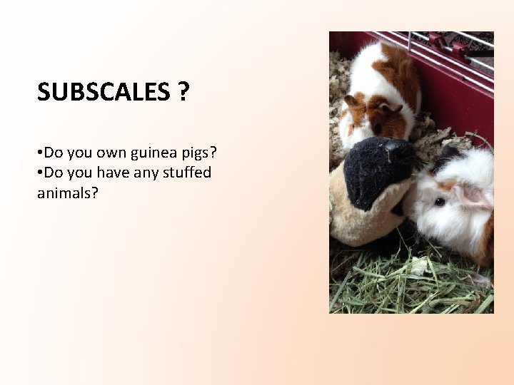 SUBSCALES ? • Do you own guinea pigs? • Do you have any stuffed SUBSCALES ? • Do you own guinea pigs? • Do you have any stuffed