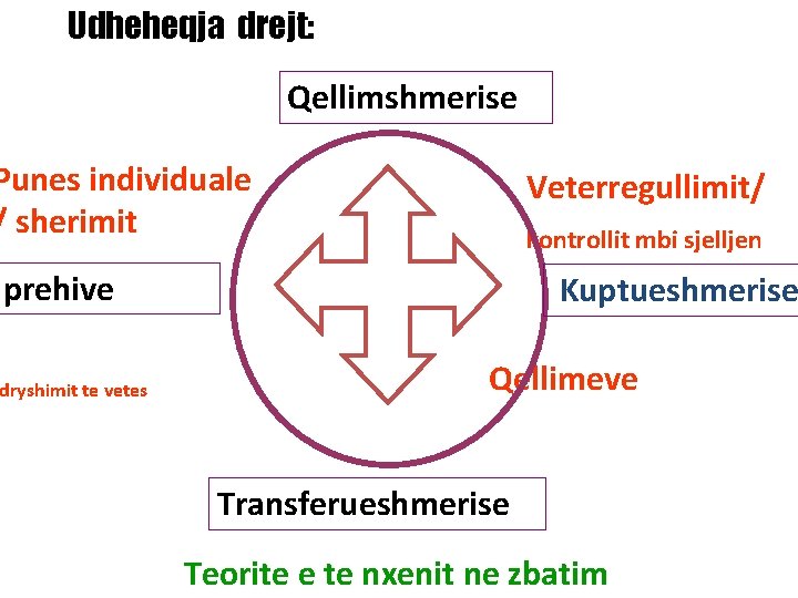 Udheheqja drejt: Qellimshmerise Punes individuale / sherimit Veterregullimit/ kontrollit mbi sjelljen hprehive dryshimit te