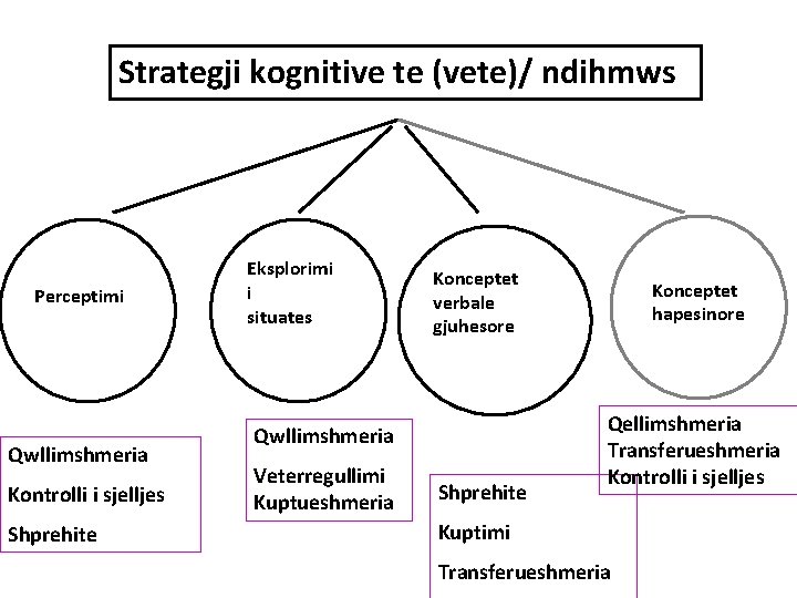 Strategji kognitive te (vete)/ ndihmws Perceptimi Qwllimshmeria Kontrolli i sjelljes Shprehite Eksplorimi i situates