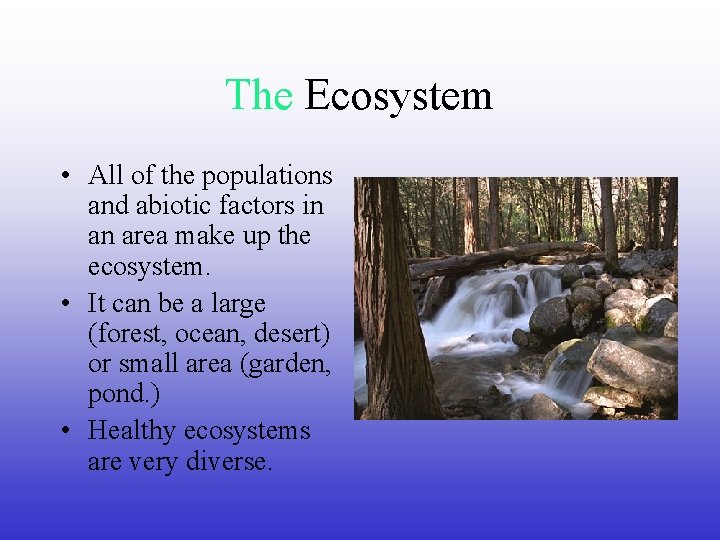 The Ecosystem • All of the populations and abiotic factors in an area make
