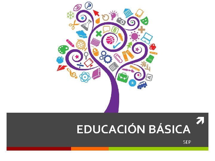 EDUCACIÓN BÁSICA SEP 