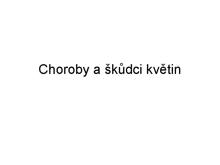 Choroby a škůdci květin 