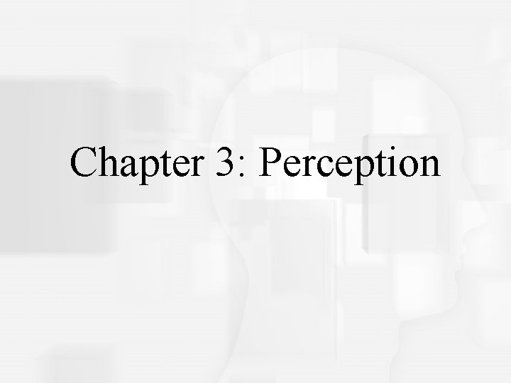 Cognitive Psychology, Fifth Edition, Robert J. Sternberg Chapter 3: Perception 