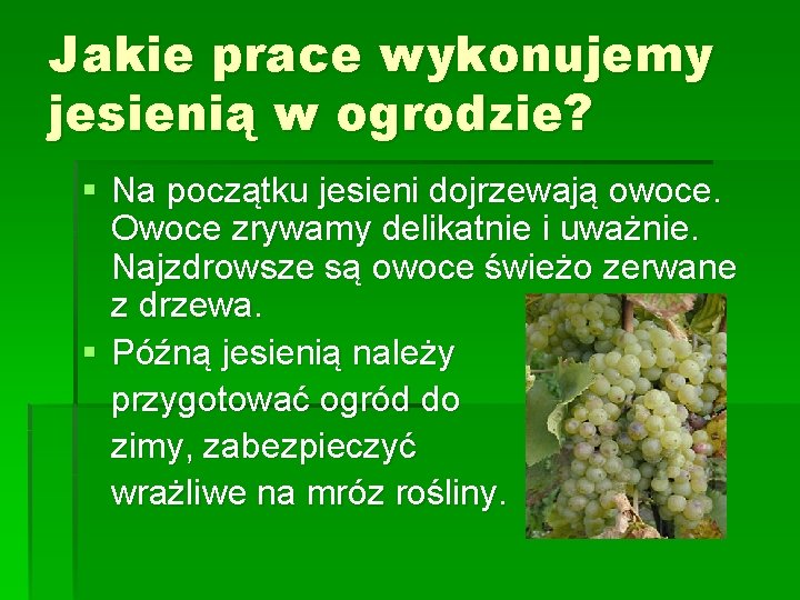 Jakie prace wykonujemy jesienią w ogrodzie? § Na początku jesieni dojrzewają owoce. Owoce zrywamy