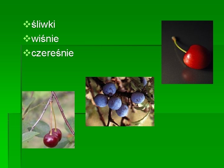 vśliwki vwiśnie vczereśnie 