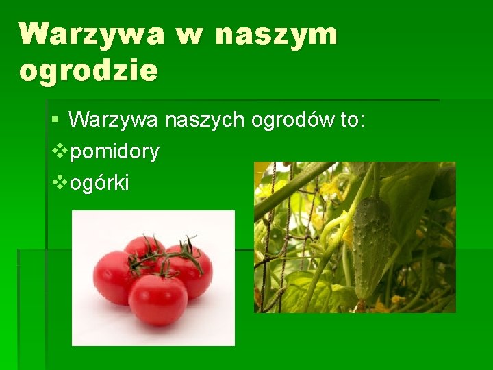 Warzywa w naszym ogrodzie § Warzywa naszych ogrodów to: vpomidory vogórki 