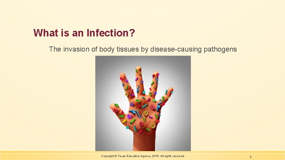 What is an Infection? The invasion of body tissues by disease-causing pathogens Copyright ©