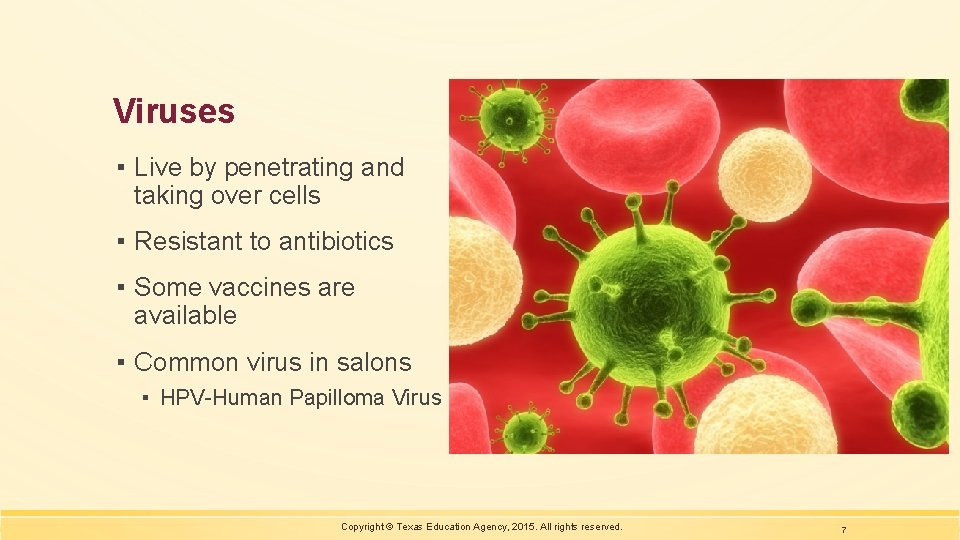 Viruses ▪ Live by penetrating and taking over cells ▪ Resistant to antibiotics ▪