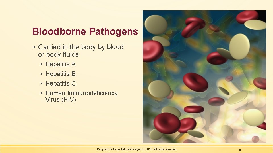 Bloodborne Pathogens ▪ Carried in the body by blood or body fluids ▪ Hepatitis