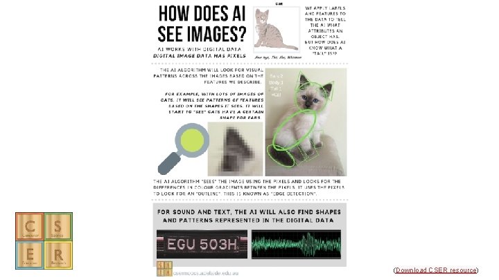 (Download CSER resource) (Download CSER resource)