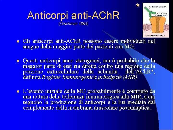 Anticorpi anti-ACh. R * (Drachman 1994) l Gli anticorpi anti-ACh. R possono essere individuati