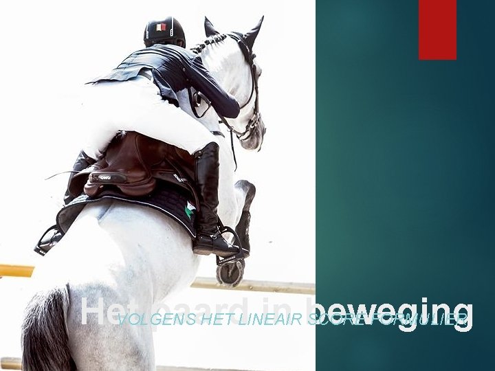 Het paard in beweging VOLGENS HET LINEAIR SCORE FORMULIER 