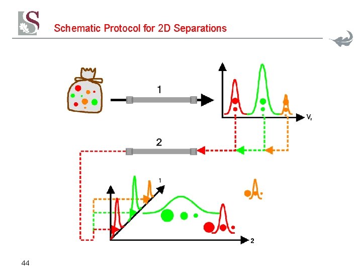 Schematic Protocol for 2 D Separations 44 Schematic Protocol for 2 D Separations 44
