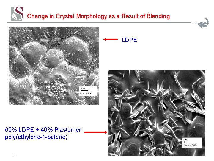 Change in Crystal Results: SEM Morphology as a Result of Blending LDPE 60% LDPE Change in Crystal Results: SEM Morphology as a Result of Blending LDPE 60% LDPE