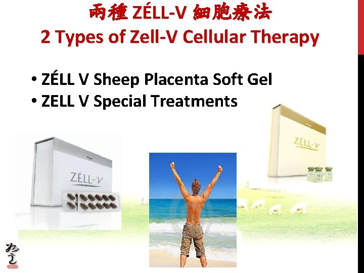 兩種 ZÉLL-V 細胞療法 2 Types of Zell-V Cellular Therapy • ZÉLL V Sheep Placenta 兩種 ZÉLL-V 細胞療法 2 Types of Zell-V Cellular Therapy • ZÉLL V Sheep Placenta