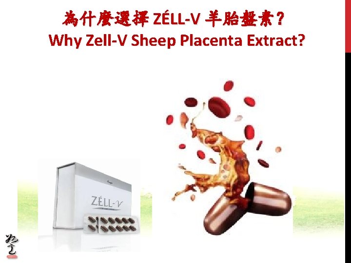 為什麼選擇 ZÉLL-V 羊胎盤素？ Why Zell-V Sheep Placenta Extract? 