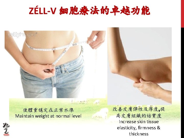 ZÉLL-V 細胞療法的卓越功能 使體重穩定在正常水準 Maintain weight at normal level 改善皮膚彈性及厚度, 提 高皮膚組織的結實度 Increase skin tissue ZÉLL-V 細胞療法的卓越功能 使體重穩定在正常水準 Maintain weight at normal level 改善皮膚彈性及厚度, 提 高皮膚組織的結實度 Increase skin tissue