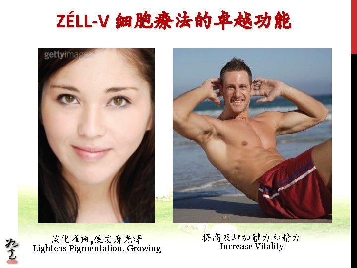 ZÉLL-V 細胞療法的卓越功能 淡化雀斑, 使皮膚光澤 Lightens Pigmentation, Growing 提高及增加體力和精力 Increase Vitality 